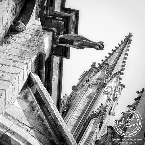 Gargouille Gare à Vous !