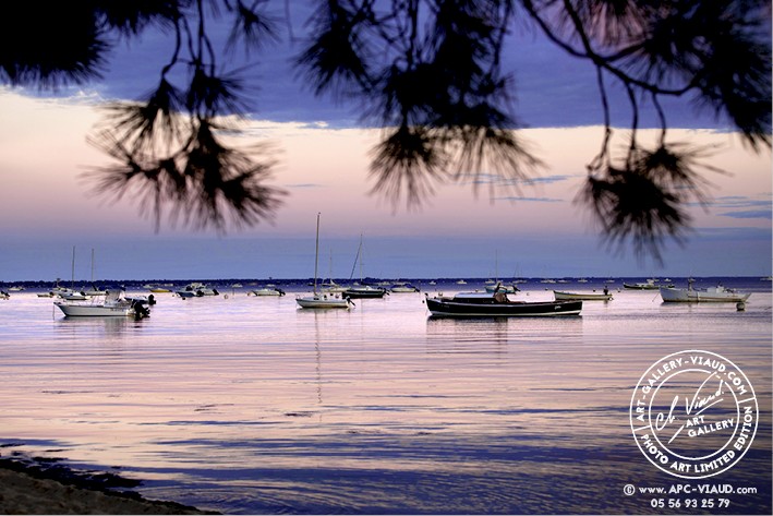 Crépuscule d'un Soir