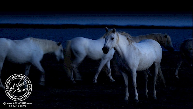 Ballade à l'heure Bleue 2