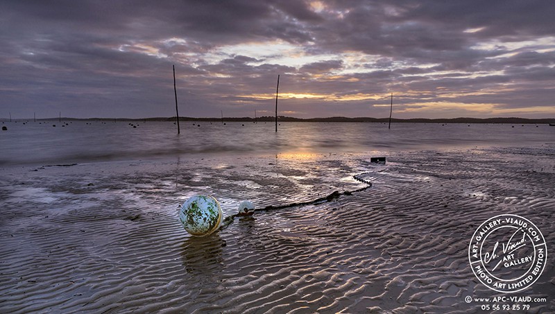 Corps Mort sur la Plage