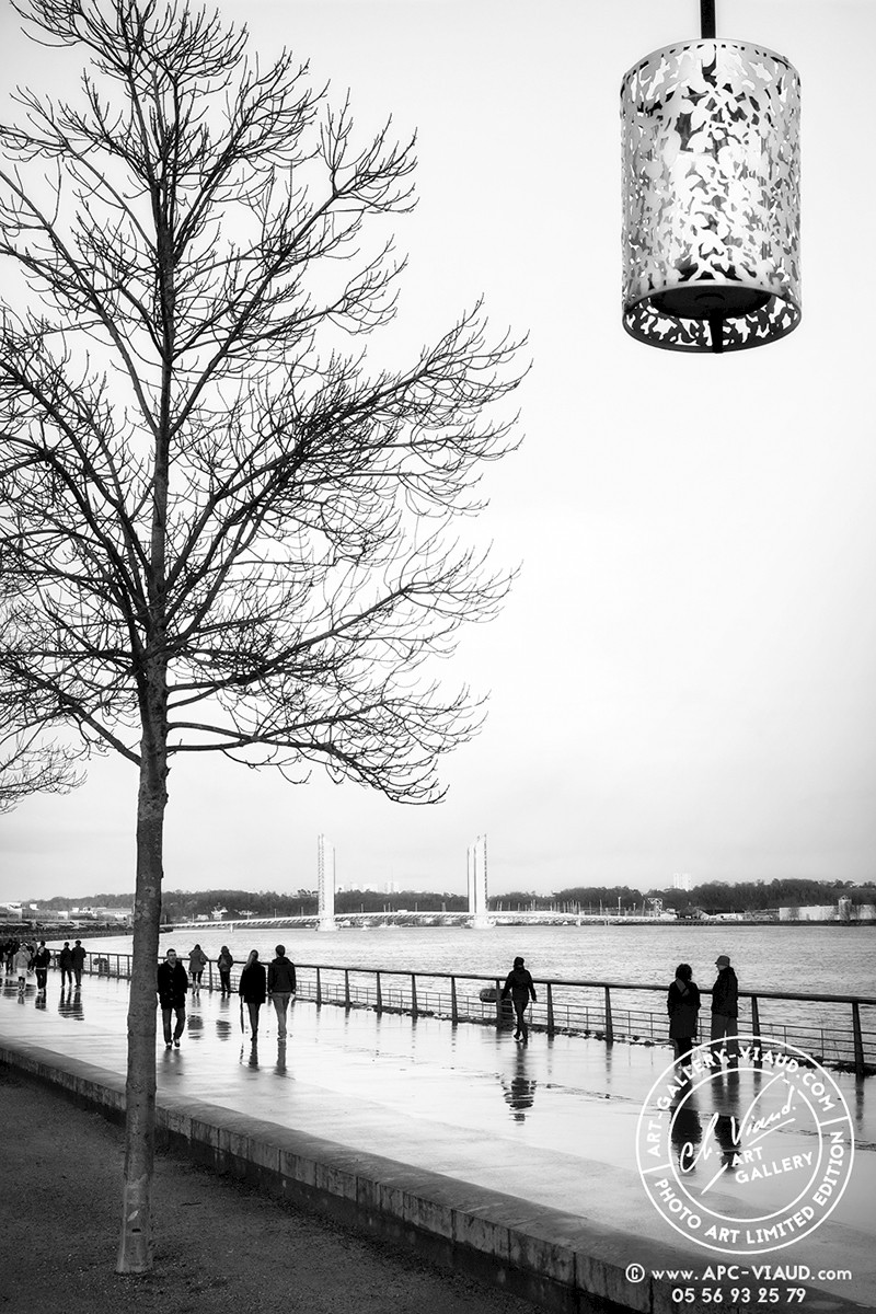 Promenade sous la pluie