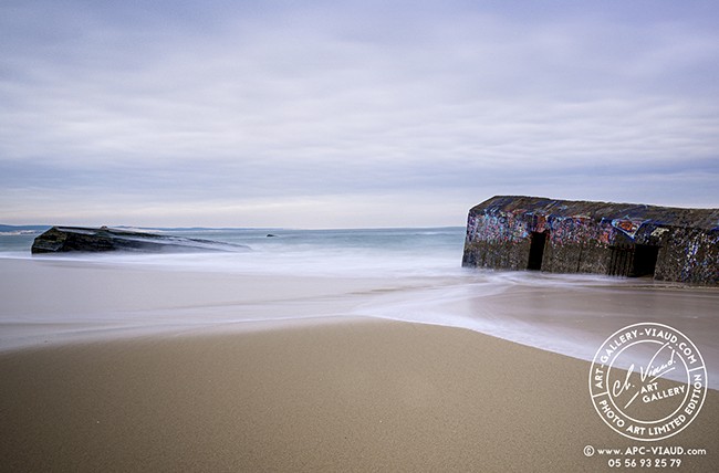 Douceur d'un Vestige