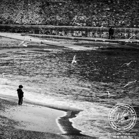 Mes Amies les Mouettes