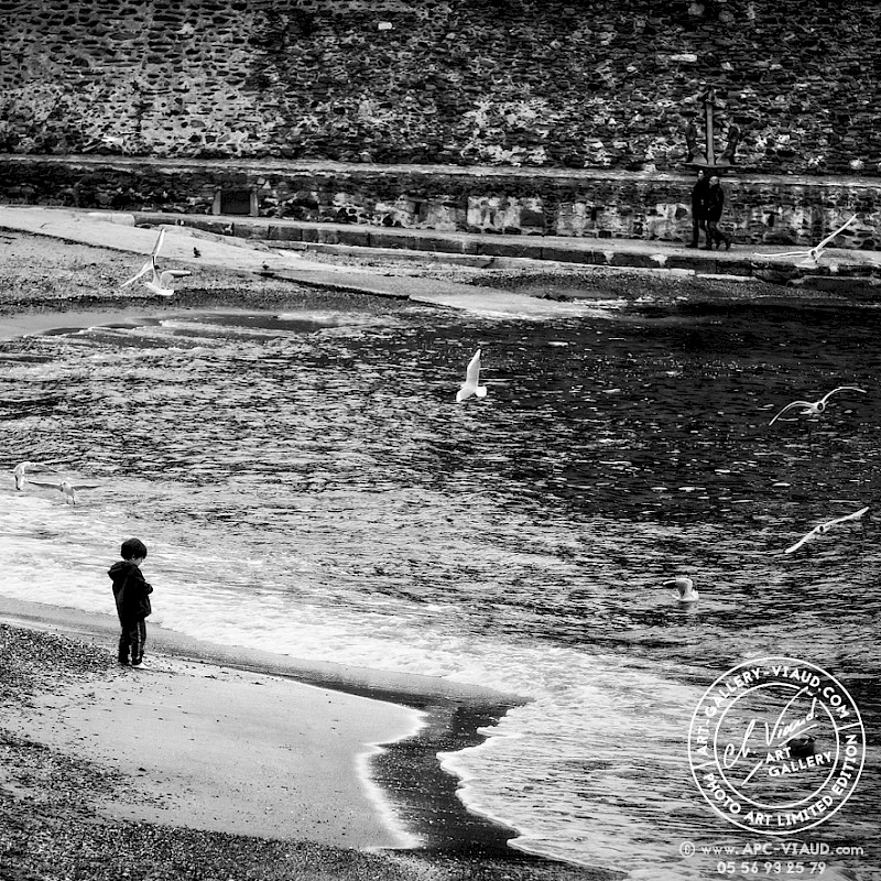 Mes Amies les Mouettes