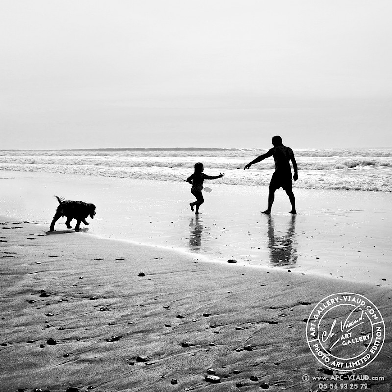 La Nouvelle Création