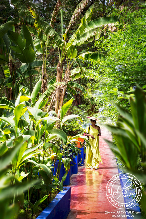 L'Elégance Majorelle