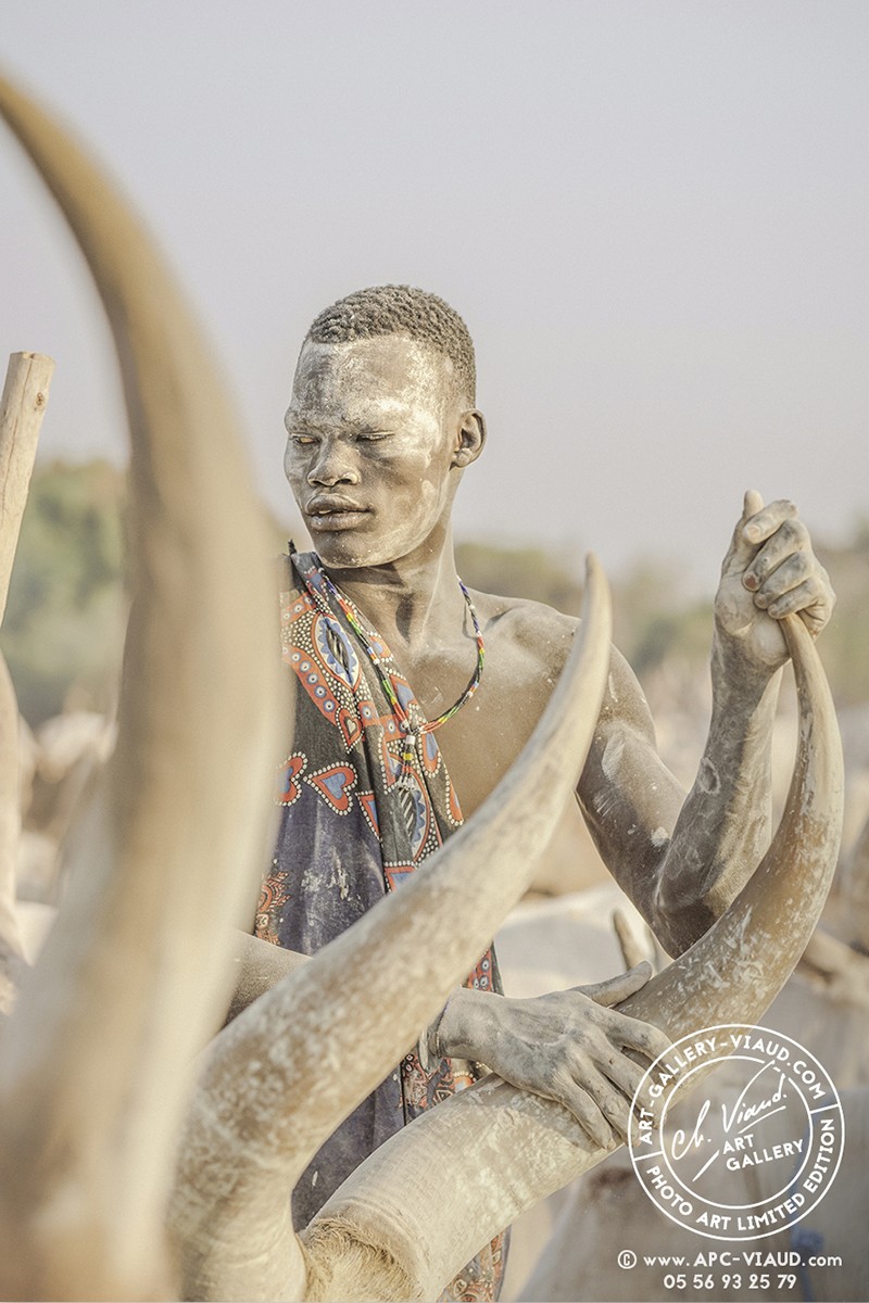 Je te protègerais, je te soignerais, je te chérirais