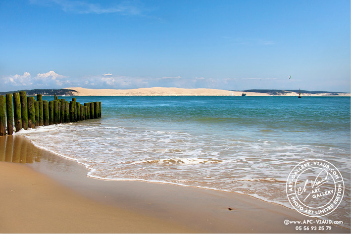 La Pointe et la Dune