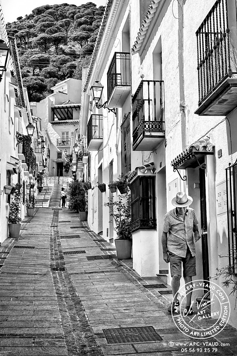 Invariable Promenade